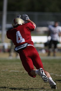 九游体育-五大联赛中下游球队是否易受心理波动影响表现,5大联赛球队 第2张