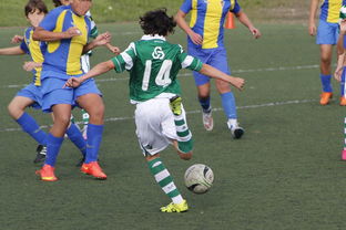 九游体育下载-女篮亚洲杯中国队力压日本夺冠,亚洲杯女子篮球赛中国对日本 第2张